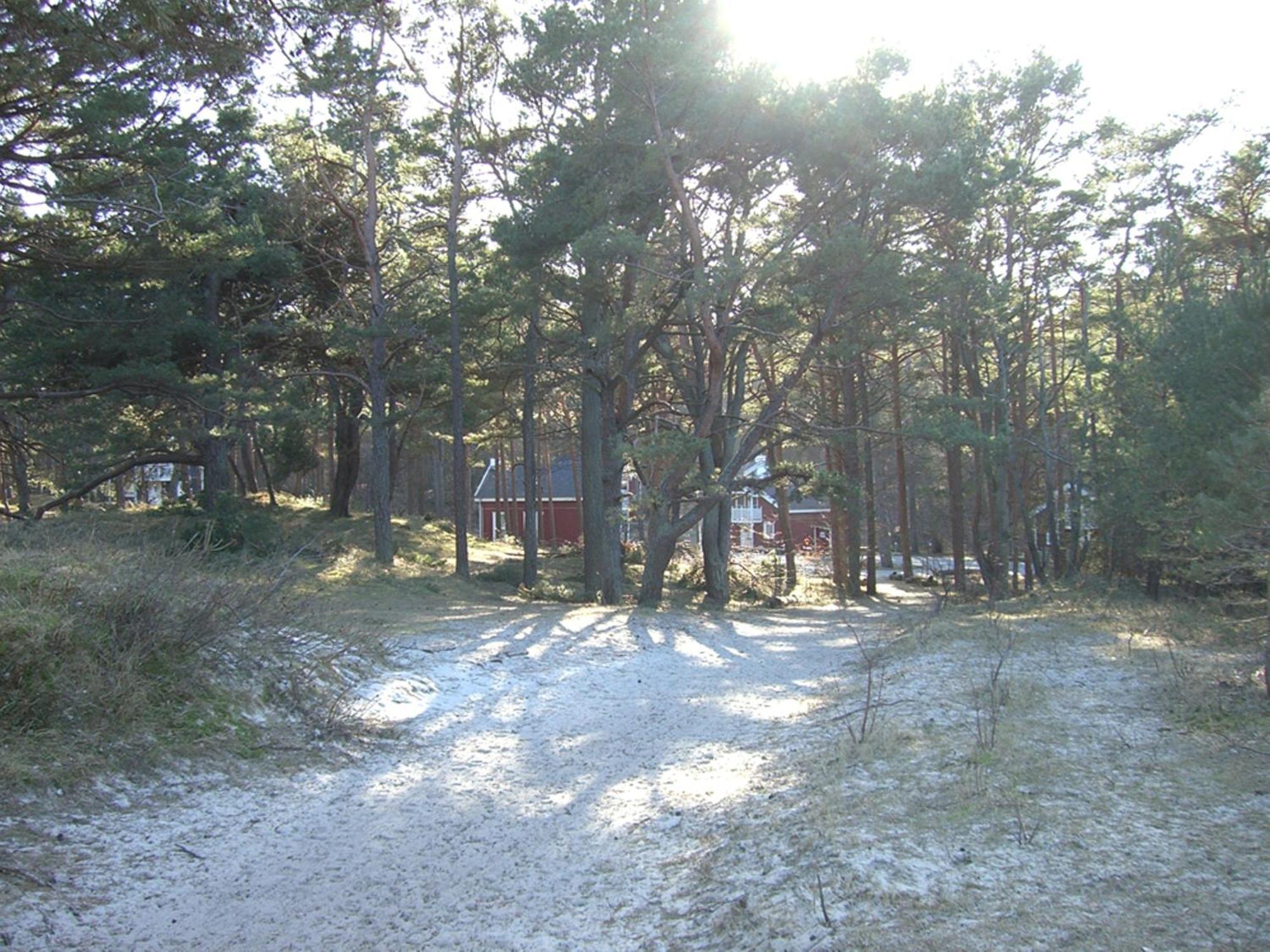 Haus Sandra Baabe Esterno foto